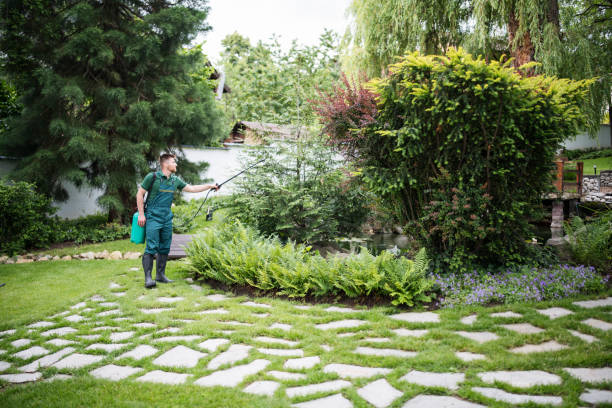 Best Tree Health Inspection  in Sultana, CA